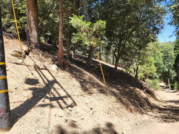 0.1 Acres of Residential Land for Sale in Cedarpines Park, California
