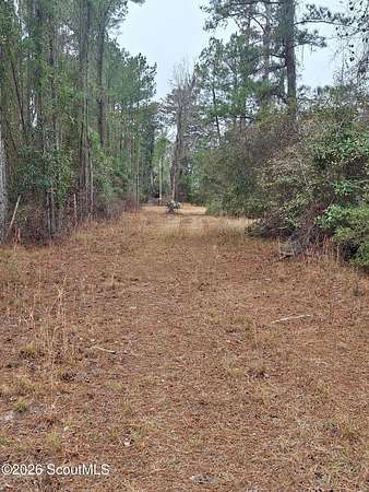 29.1 Acres of Recreational Land for Sale in Waynesville, Georgia