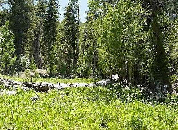2 Acres of Residential Land for Sale in Mount Charleston, Nevada