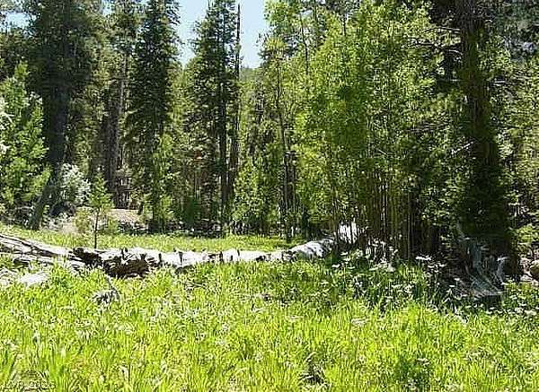 2 Acres of Residential Land for Sale in Mount Charleston, Nevada