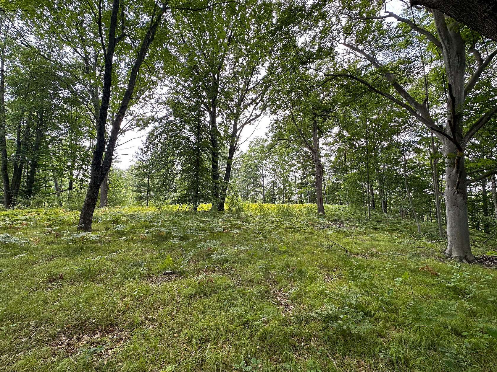 40 Acres of Recreational Land for Sale in Rodney, Michigan