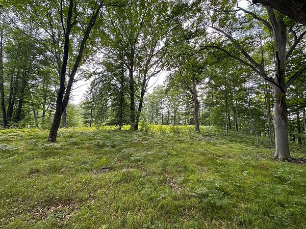 40 Acres of Recreational Land for Sale in Rodney, Michigan