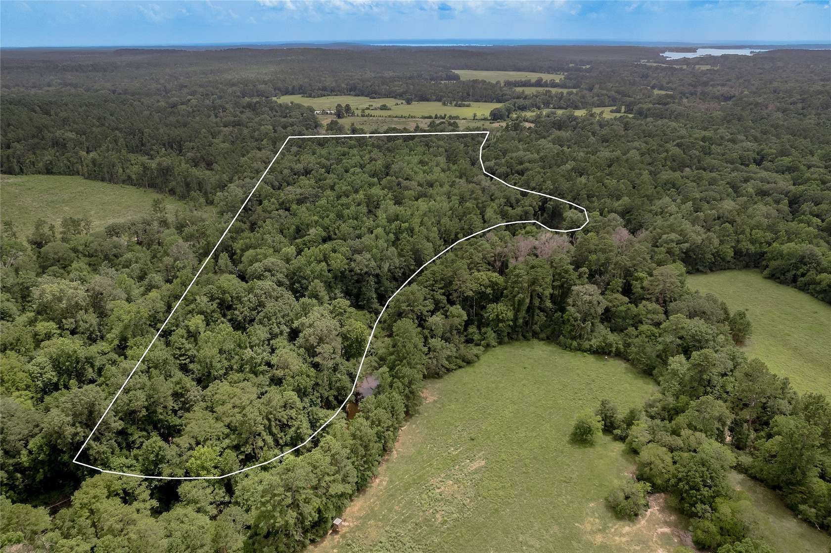 23.8 Acres of Recreational & Residential Land for Sale in Groveton, Texas