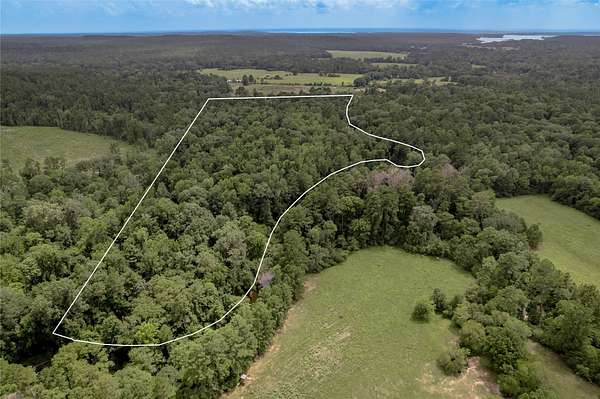 23.8 Acres of Recreational & Residential Land for Sale in Groveton, Texas