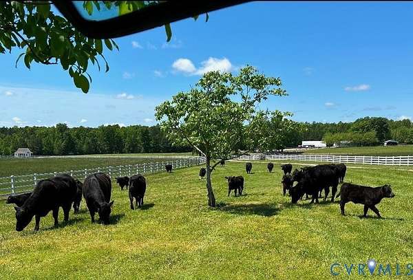 127 Acres of Land with Home for Sale in Sutherland, Virginia