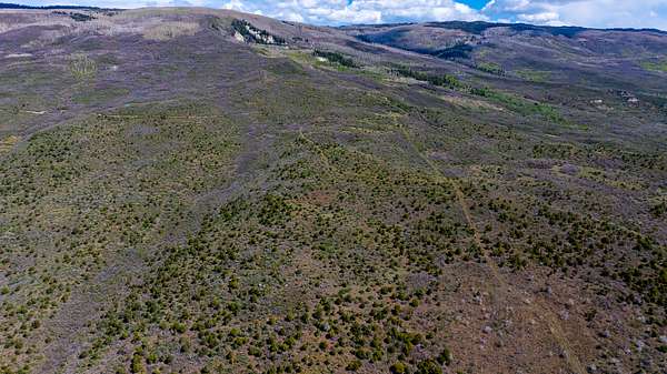 35 Acres of Land for Sale in Cedaredge, Colorado