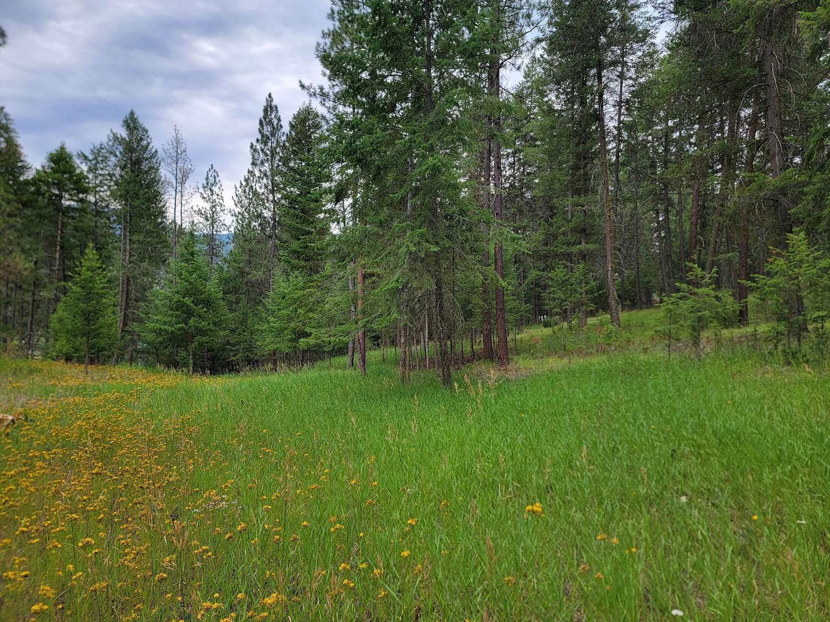 2.74 Acres of Residential Land for Sale in Curlew, Washington