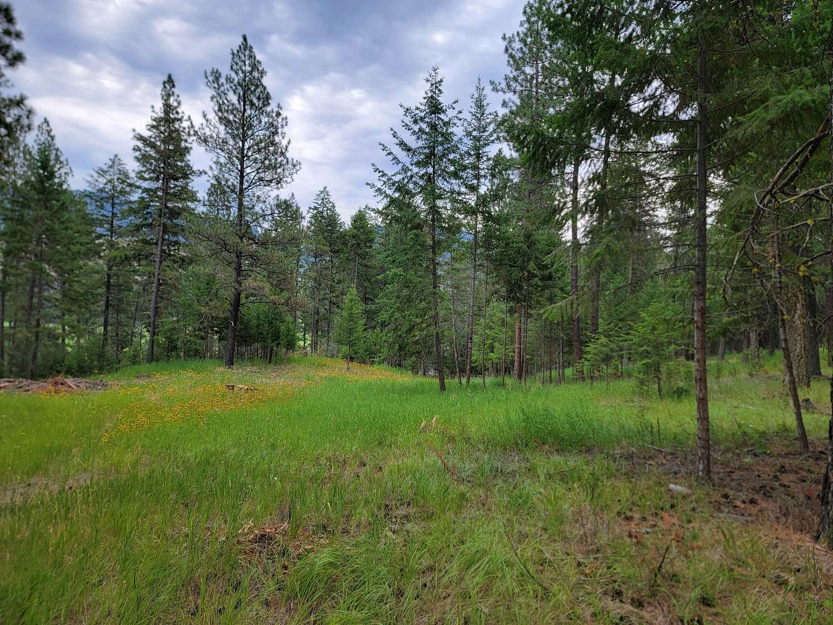2.74 Acres of Residential Land for Sale in Curlew, Washington