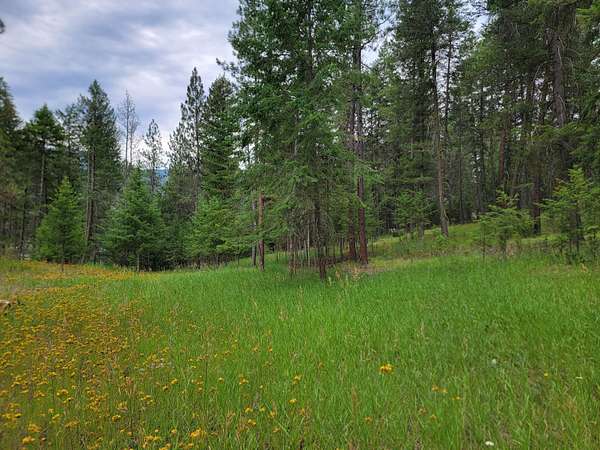 2.74 Acres of Residential Land for Sale in Curlew, Washington