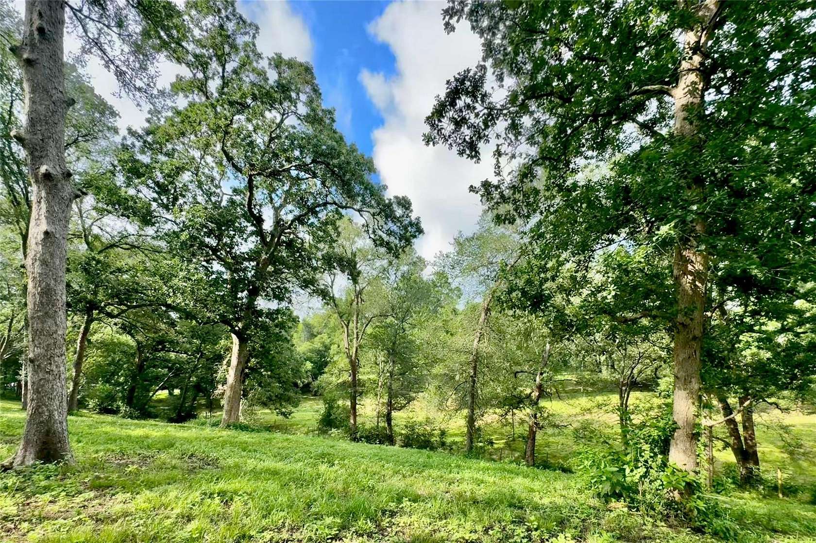 5.65 Acres of Residential Land for Sale in Brookshire, Texas
