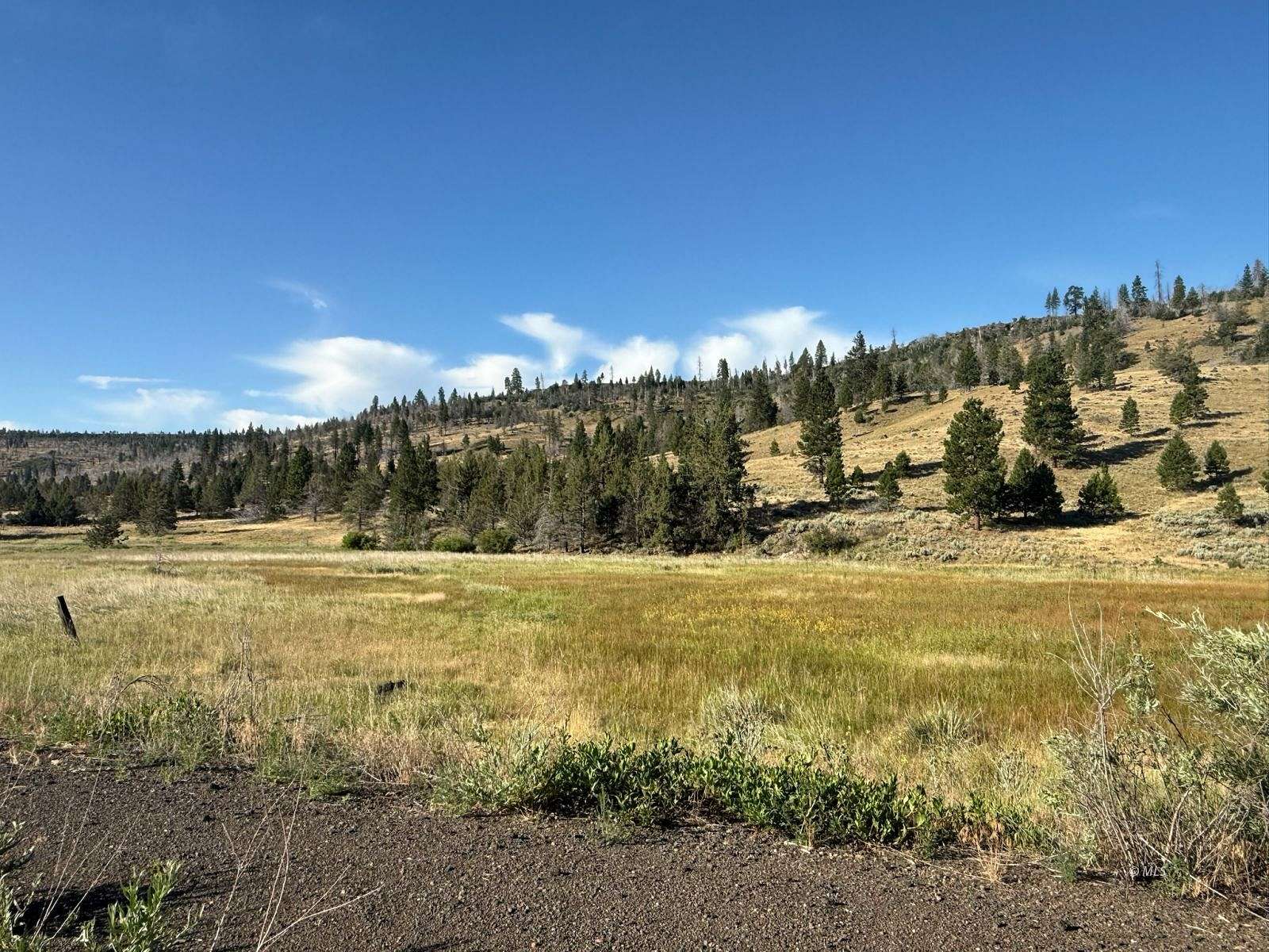 38.5 Acres of Land for Sale in Canby, California