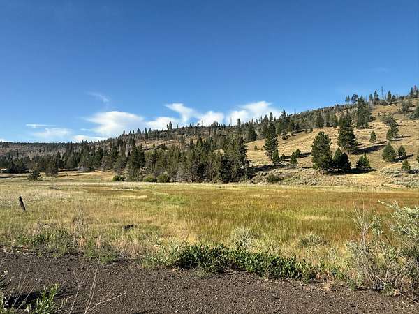 38.5 Acres of Land for Sale in Canby, California