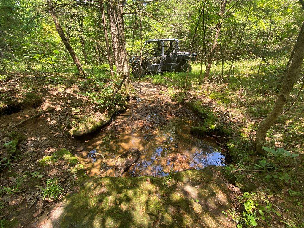 79.8 Acres of Land for Sale in Everton, Arkansas