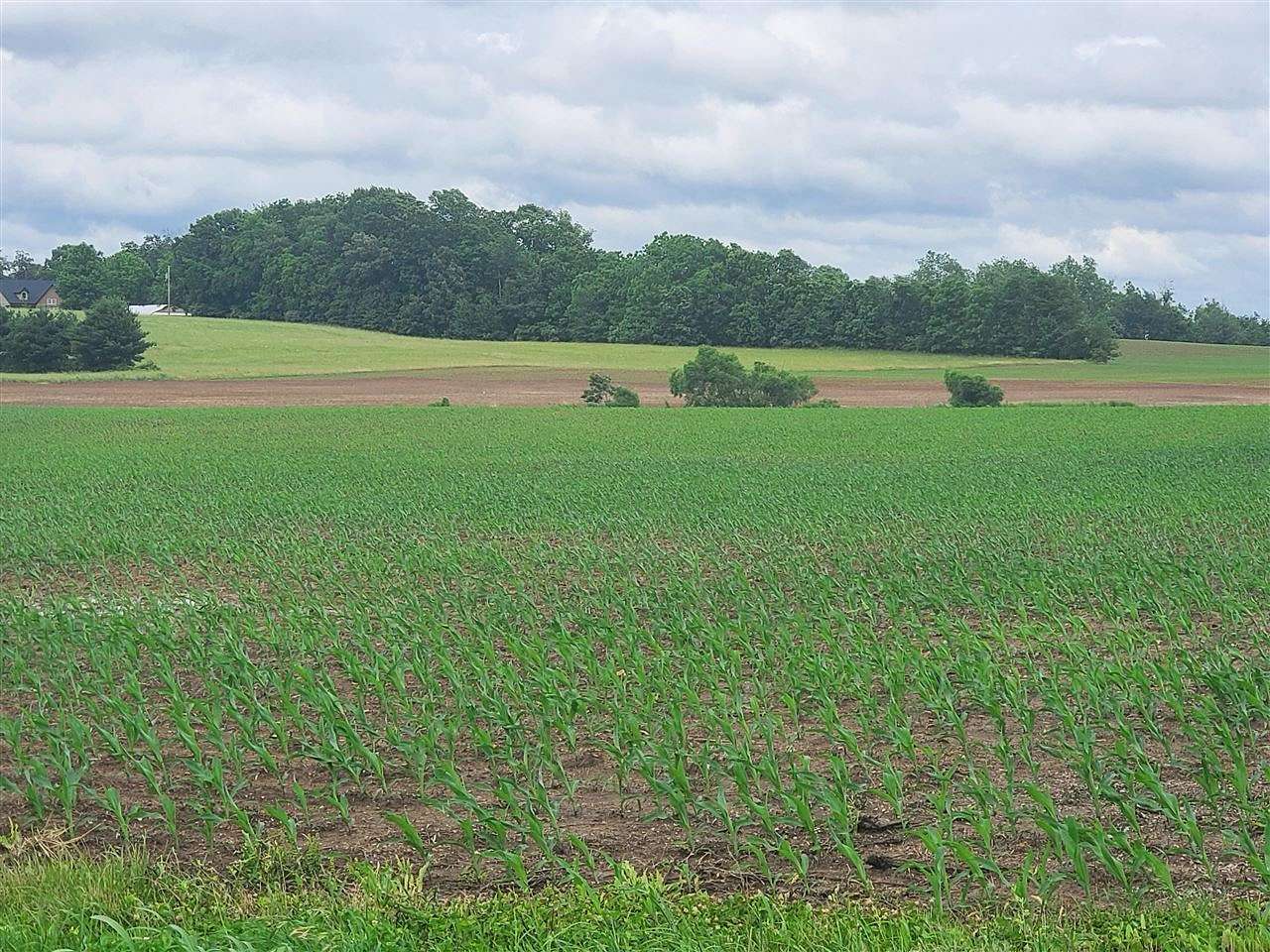 113 Acres of Land for Sale in Franklin, Kentucky