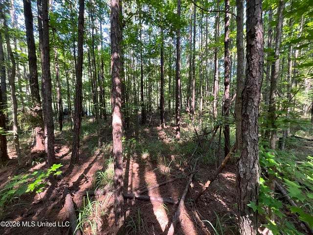 7 Acres of Agricultural Land for Sale in Gloster, Mississippi