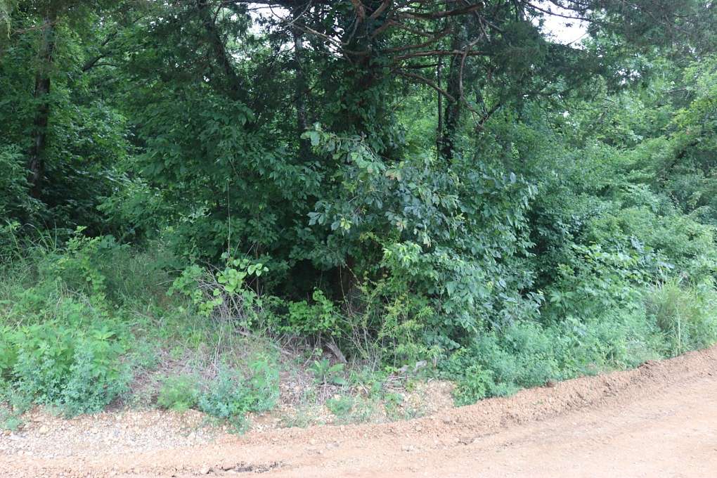 0.5 Acres of Land for Sale in Mountain View, Arkansas