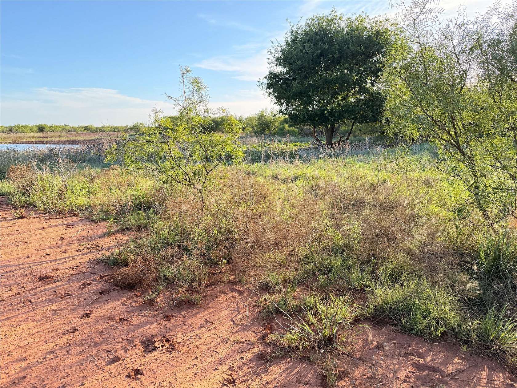 320 Acres of Land for Sale in Quanah, Texas