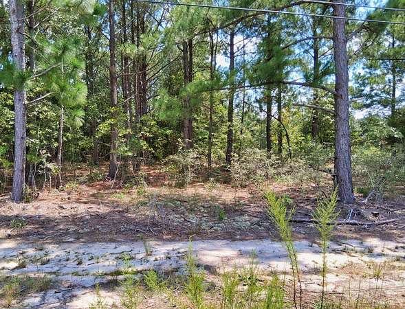 8 Acres of Land for Sale in Wallace, South Carolina