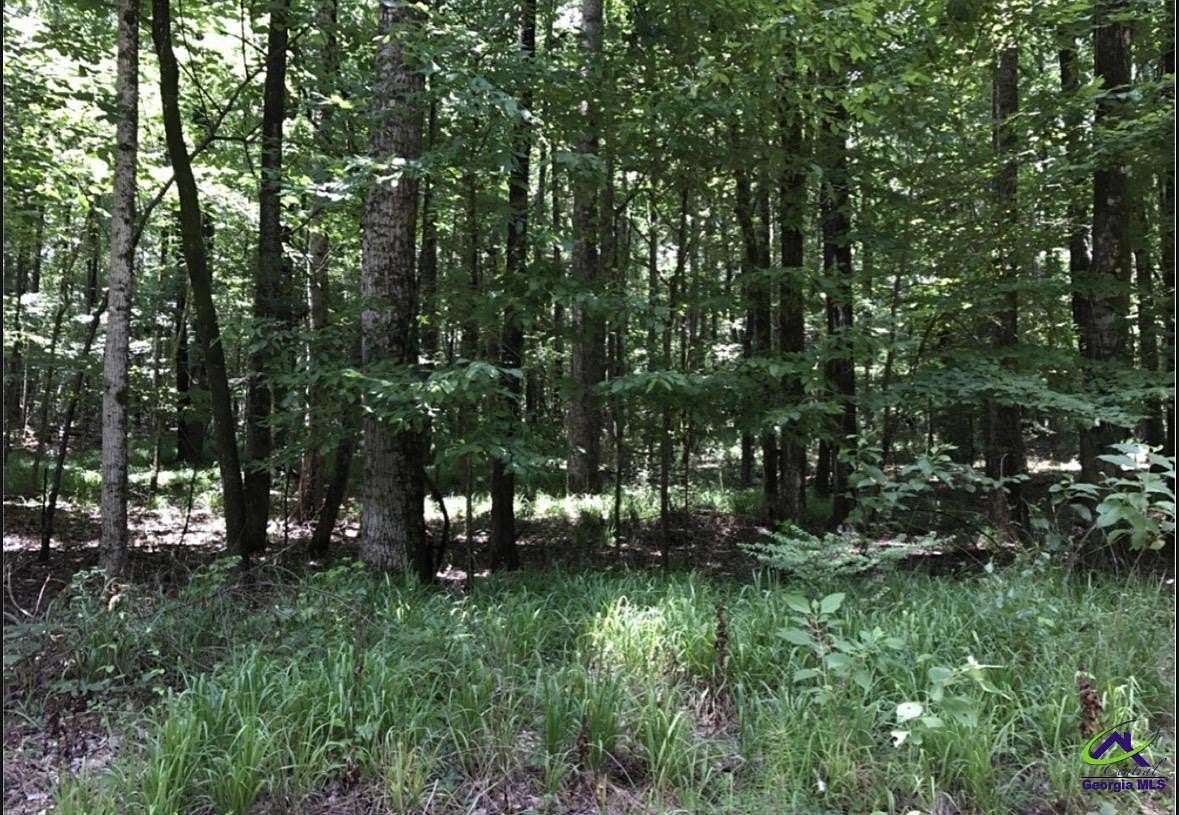 2.6 Acres of Residential Land for Sale in Macon, Georgia