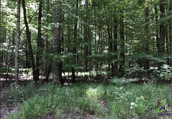2.6 Acres of Residential Land for Sale in Macon, Georgia