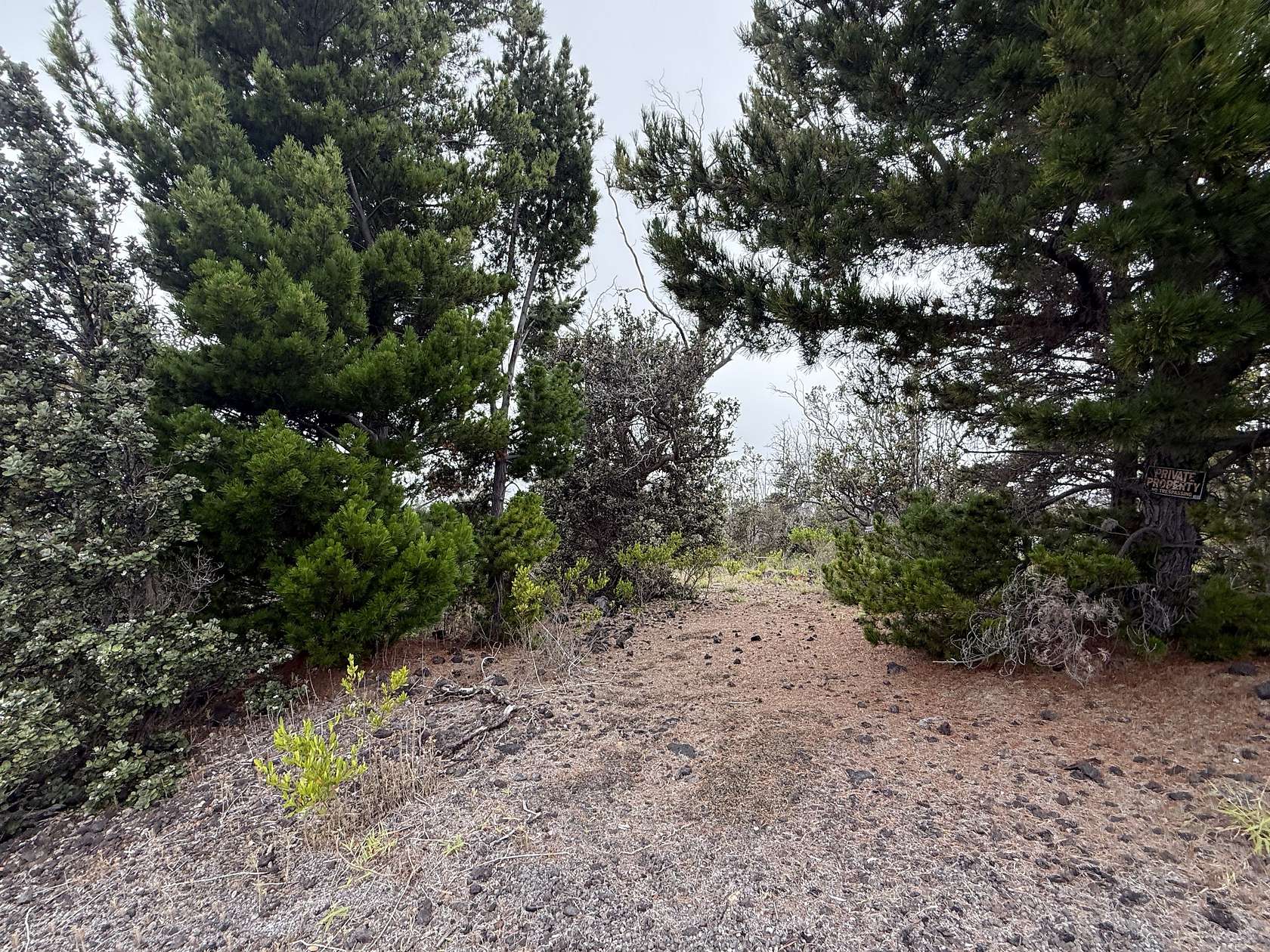 1 Acre of Residential Land for Sale in Hawaiian Ocean View, Hawaii