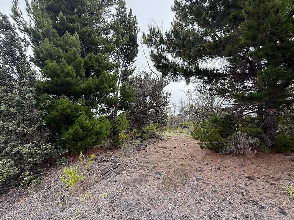 1 Acre of Residential Land for Sale in Hawaiian Ocean View, Hawaii