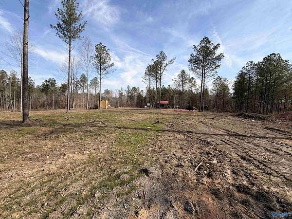 36 Acres of Recreational Land for Sale in Danville, Alabama