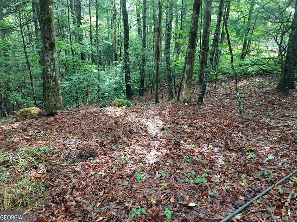 0.56 Acres of Land for Sale in Sky Valley, Georgia