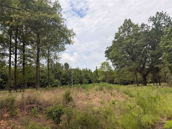 3 Acres of Residential Land for Sale in Piedmont, Alabama
