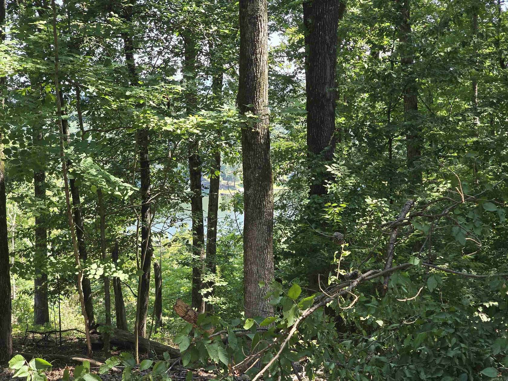0.68 Acres of Residential Land for Sale in Hot Springs, Arkansas