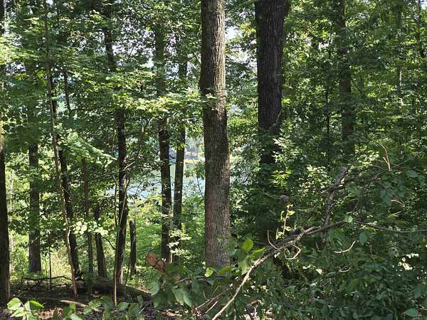 0.68 Acres of Residential Land for Sale in Hot Springs, Arkansas