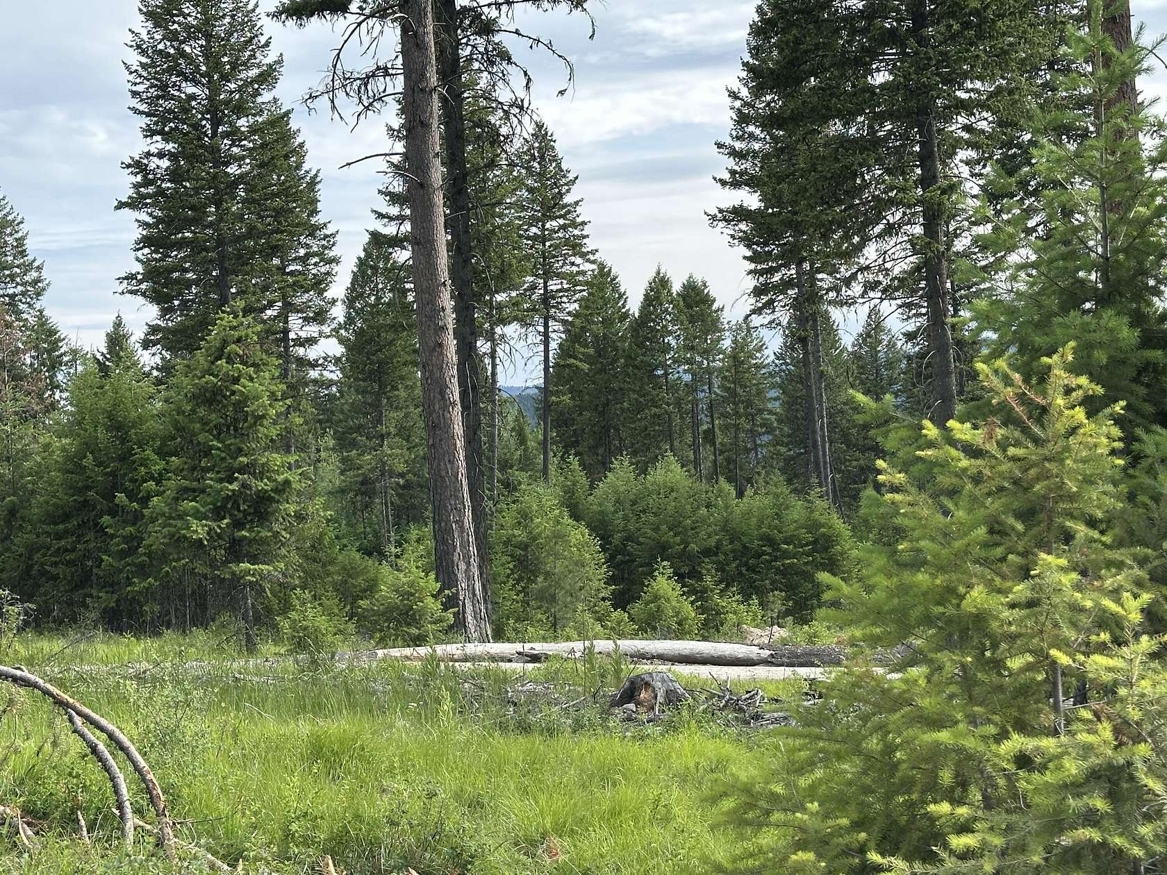 3.4 Acres of Residential Land for Sale in Republic, Washington