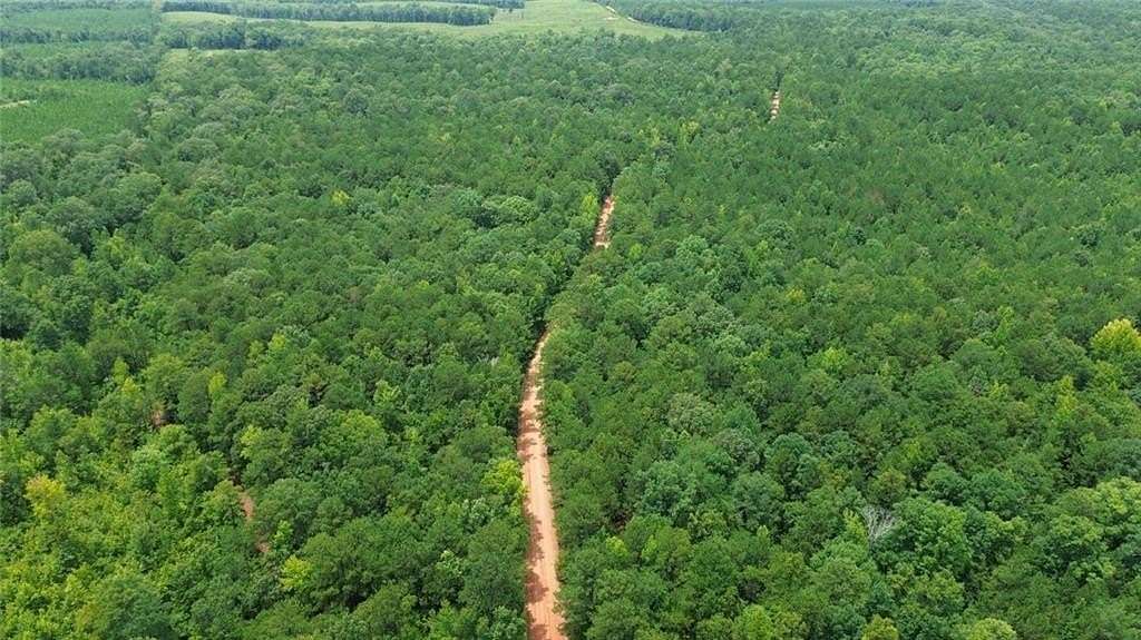 160 Acres of Recreational & Residential Land for Sale in Hurtsboro, Alabama