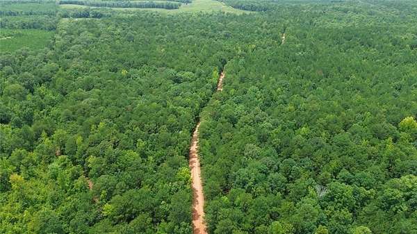 160 Acres of Recreational & Residential Land for Sale in Hurtsboro, Alabama