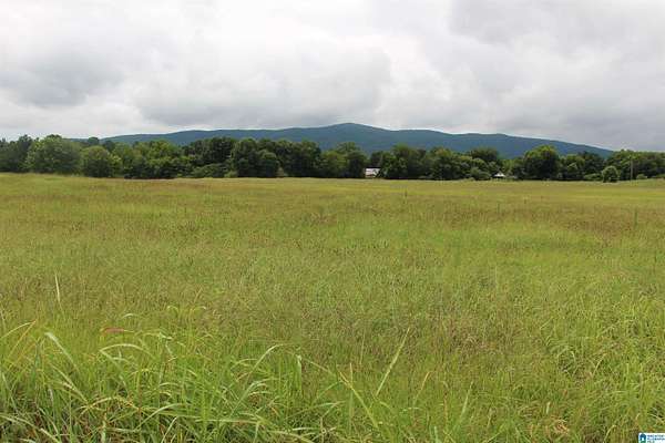 10.8 Acres of Land for Sale in Piedmont, Alabama