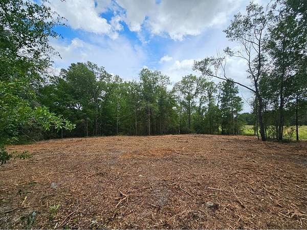 0.23 Acres of Residential Land for Sale in O'Brien, Florida