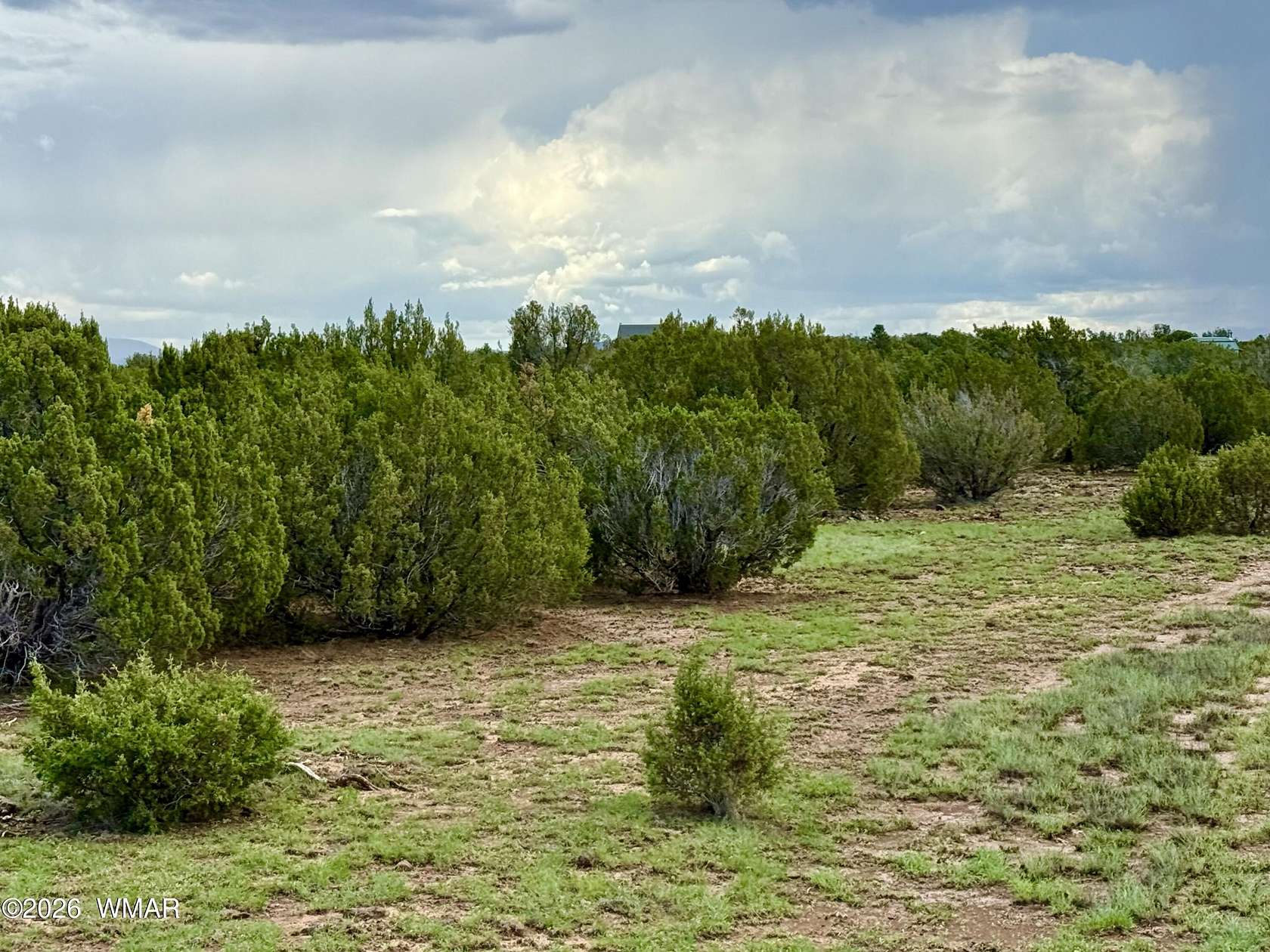 1 Acre of Residential Land for Sale in Concho, Arizona