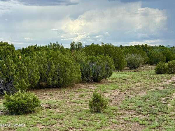 1 Acre of Residential Land for Sale in Concho, Arizona