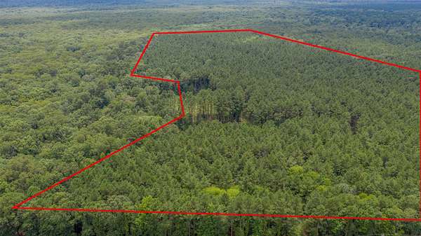 17 Acres of Recreational & Residential Land for Sale in Benton, Louisiana