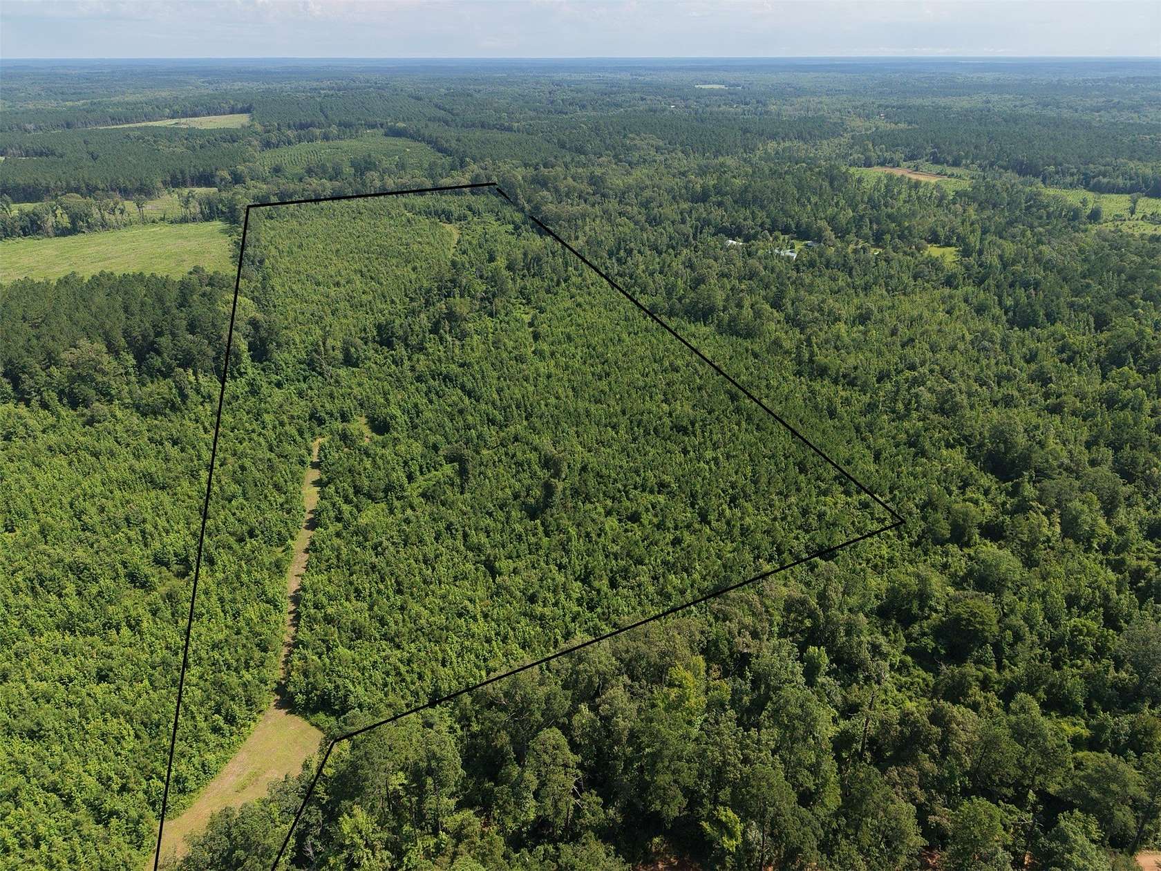 50 Acres of Recreational & Residential Land for Sale in Marietta, Texas