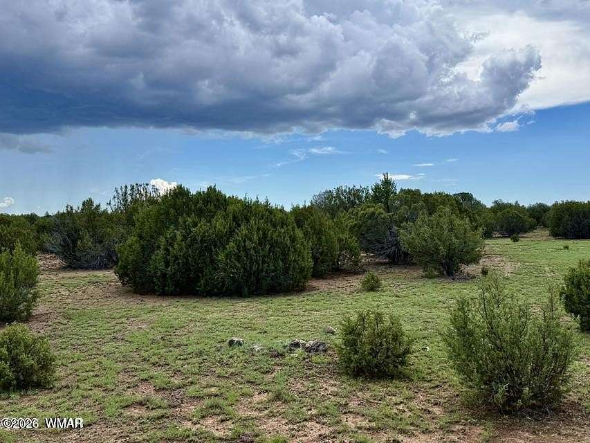 1.14 Acres of Residential Land for Sale in Concho, Arizona