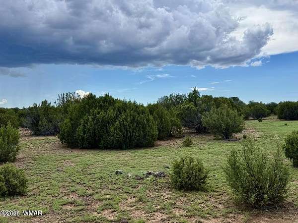 1.14 Acres of Residential Land for Sale in Concho, Arizona