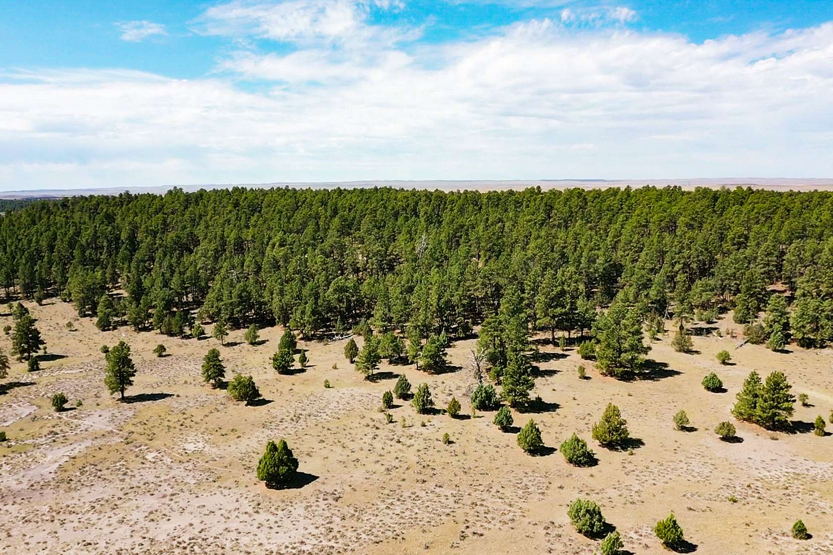 50 Acres of Recreational & Residential Land for Sale in Moorcroft, Wyoming
