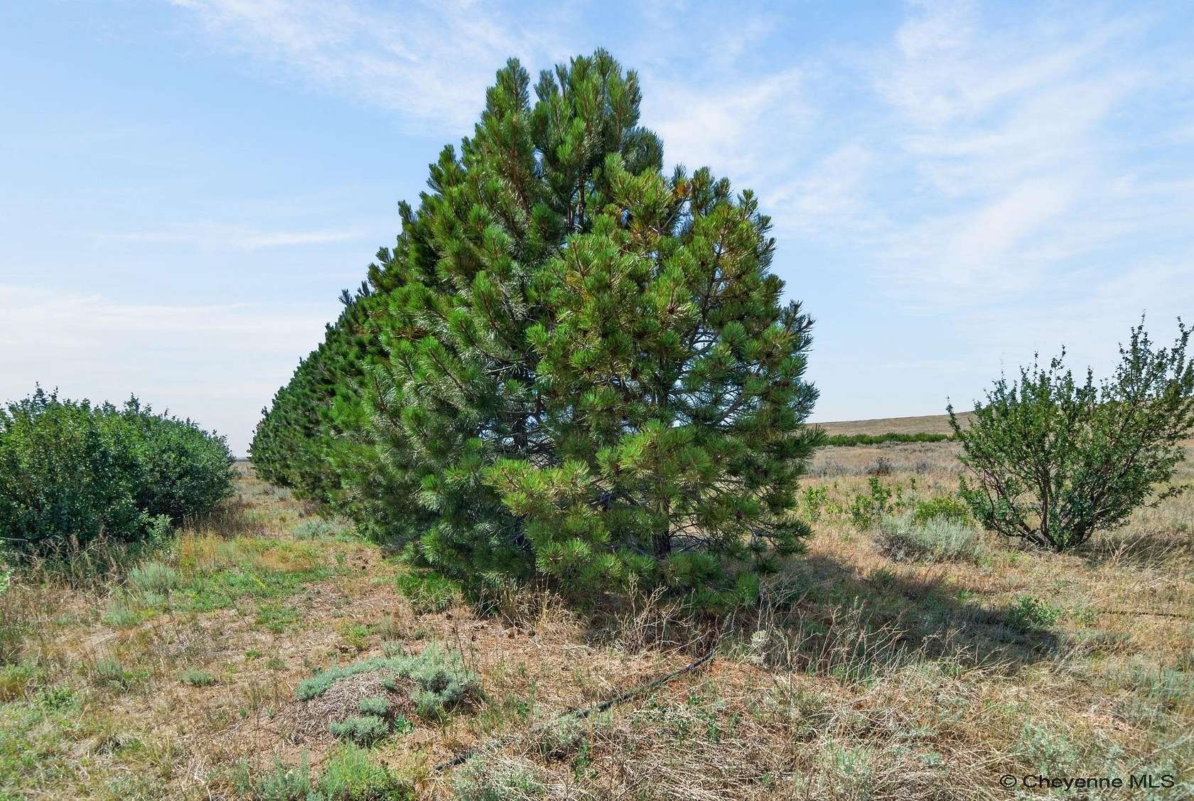 8.49 Acres of Land for Sale in Cheyenne, Wyoming