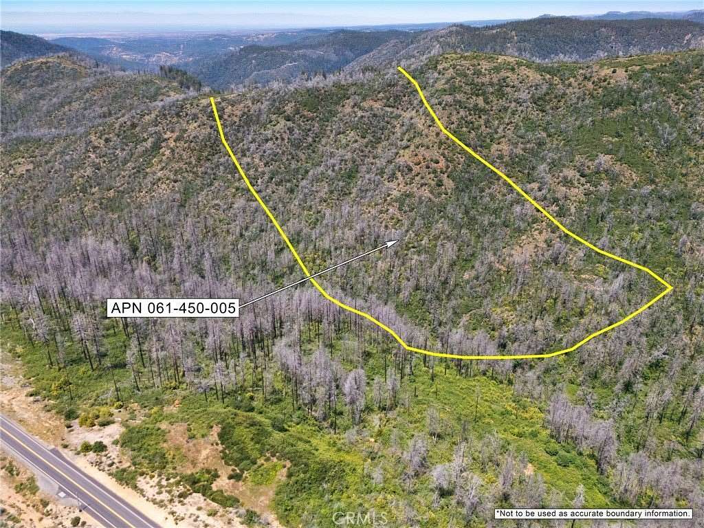 99.1 Acres of Recreational & Residential Land for Sale in Berry Creek, California