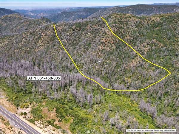 99.1 Acres of Recreational & Residential Land for Sale in Berry Creek, California