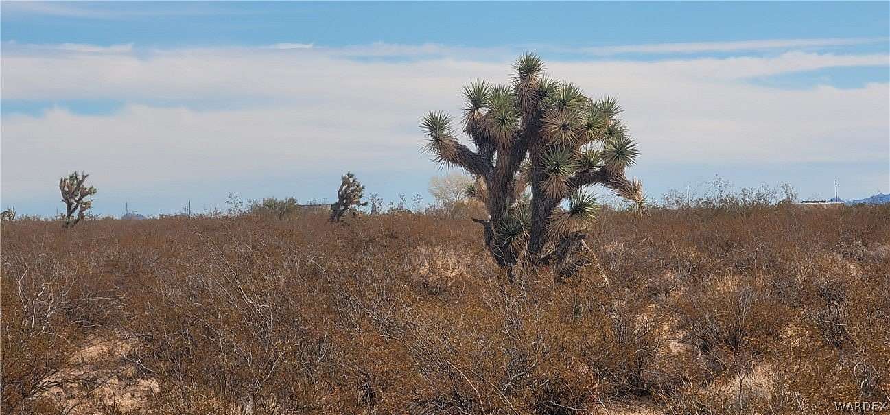 160 Acres of Land for Sale in Yucca, Arizona