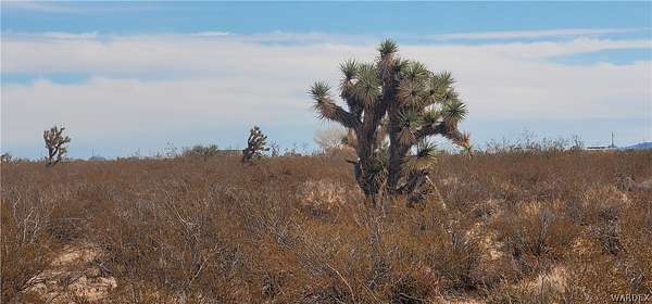160 Acres of Land for Sale in Yucca, Arizona