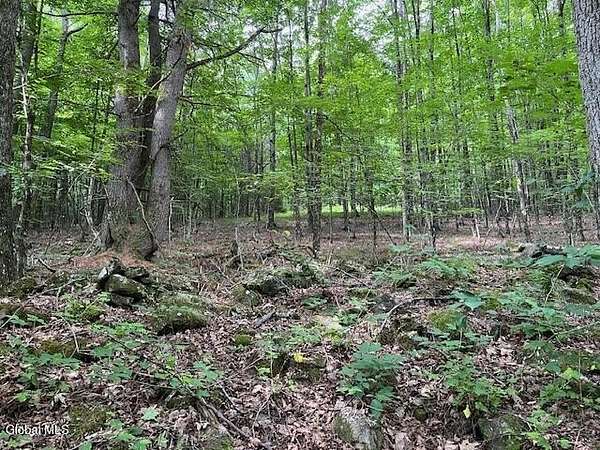 9 Acres of Residential Land for Sale in Broome Town, New York