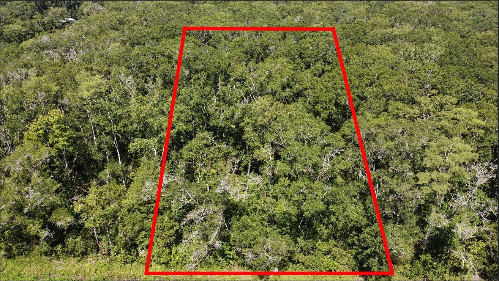 1.14 Acres of Residential Land for Sale in Hastings, Florida